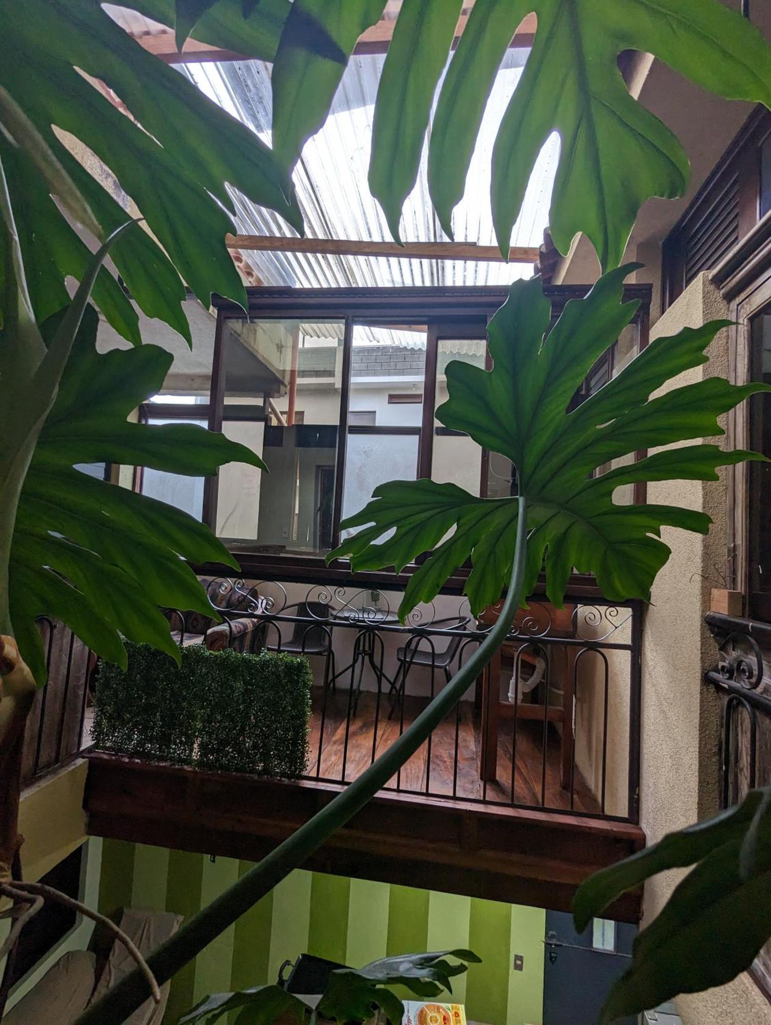 Casa Gonzalez Lägenhet Santiago Atitlán Exteriör bild
